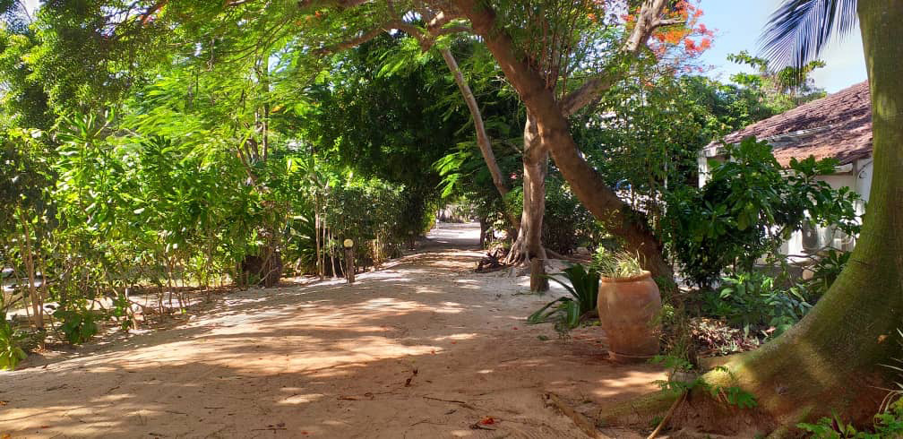 Garten/_pangachumvibeach